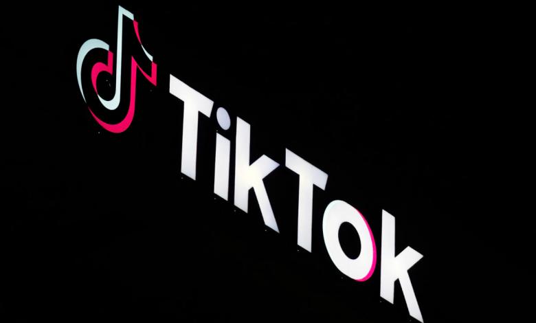 TikTok is asking a court to delay a law that would block its app next month TikTok is asking a court to delay a law that would block its app next month