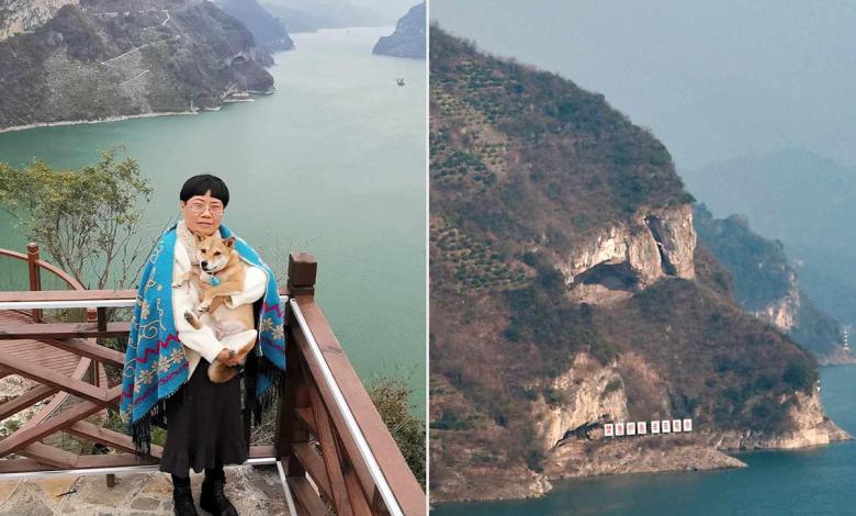 Do you see the dog? Mountain selected as Puppy becomes a travel destination after the bacterial image Do you see the dog? Mountain selected as Puppy becomes a travel destination after the bacterial image