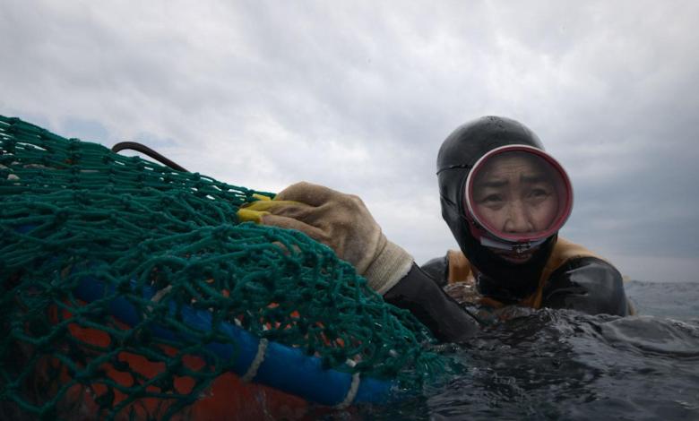 How South Korea’s ‘real life animals’ made Malala want to learn to swim How South Korea’s ‘real life animals’ made Malala want to learn to swim