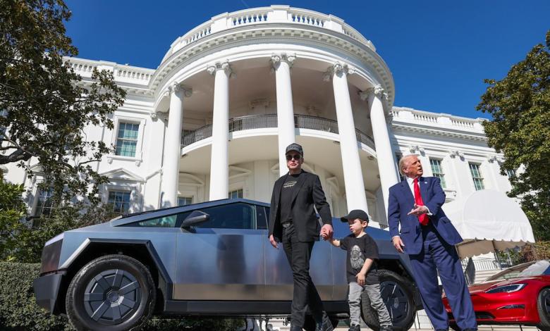 History tree to be cut off in White House over anxiety safely History tree to be cut off in White House over anxiety safely