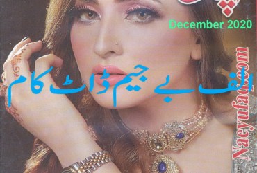 Aanchal Digest - December 2020 Aanchal Digest - December 2020