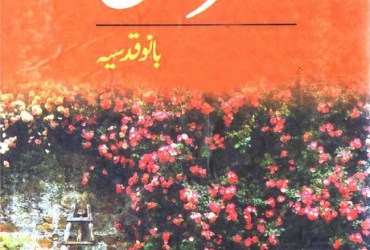 Amar Bail by Bano Qudsia Amar Bail by Bano Qudsia