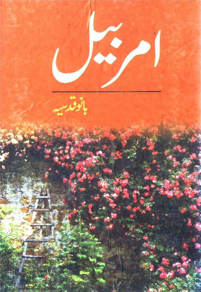 Amar Bail by Bano Qudsia Amar Bail by Bano Qudsia