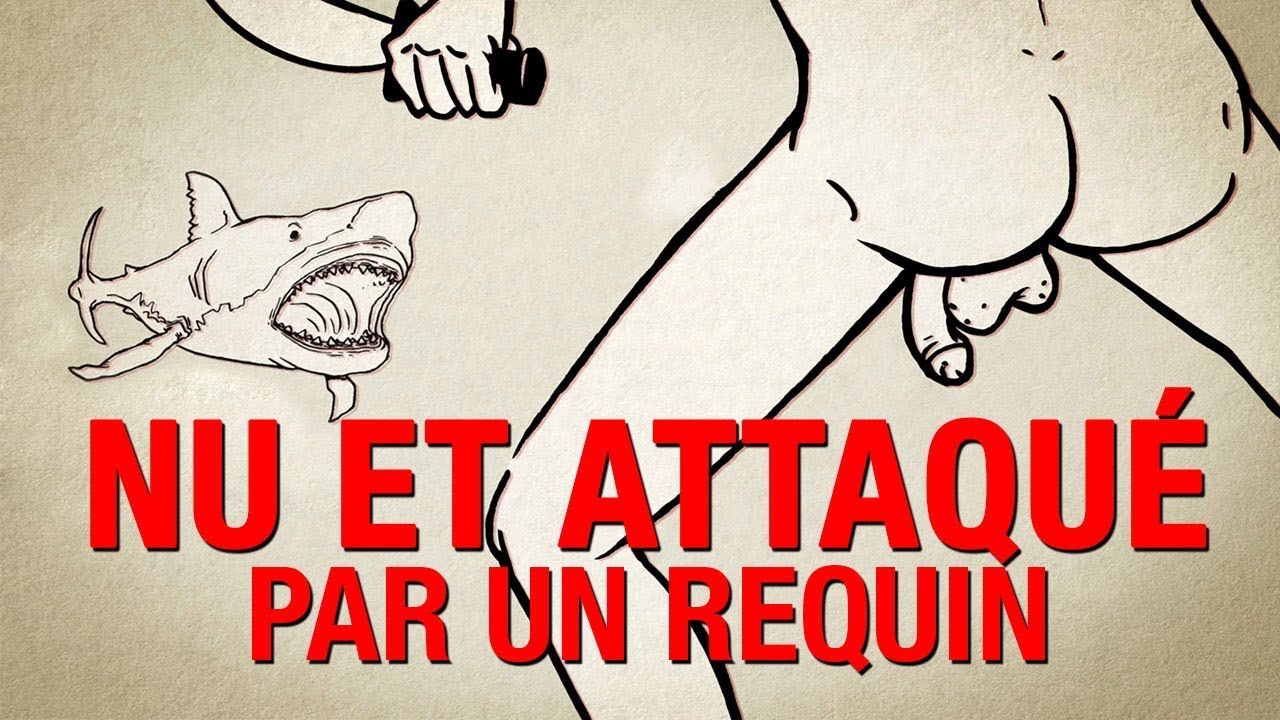 NE PANIQUEZ PAS : Comment survivre à une attaque de requin complètement nu NE PANIQUEZ PAS : Comment survivre à une attaque de requin complètement nu