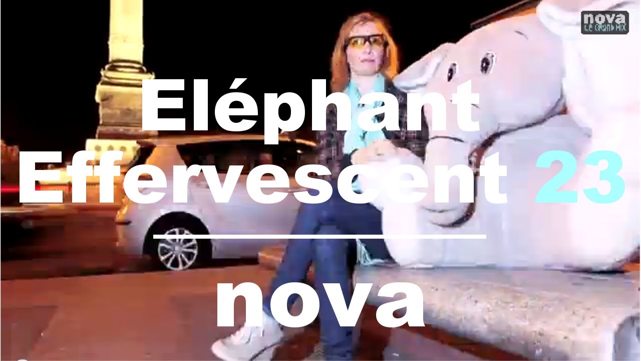 L’Eléphant Effervescent – Episode 23 • Nova L’Eléphant Effervescent – Episode 23 • Nova