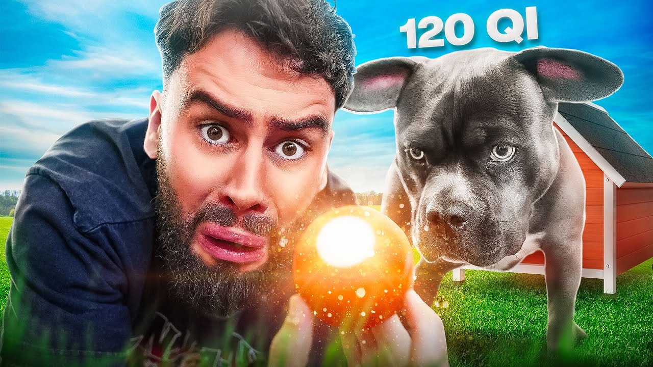 LA BALLE QU’IL VOUS FAUT ABSOLUMENT ! LA BALLE QU’IL VOUS FAUT ABSOLUMENT !