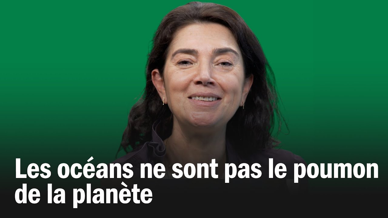 Nn, les océans ne sont pas le poumon de la planète Nn, les océans ne sont pas le poumon de la planète