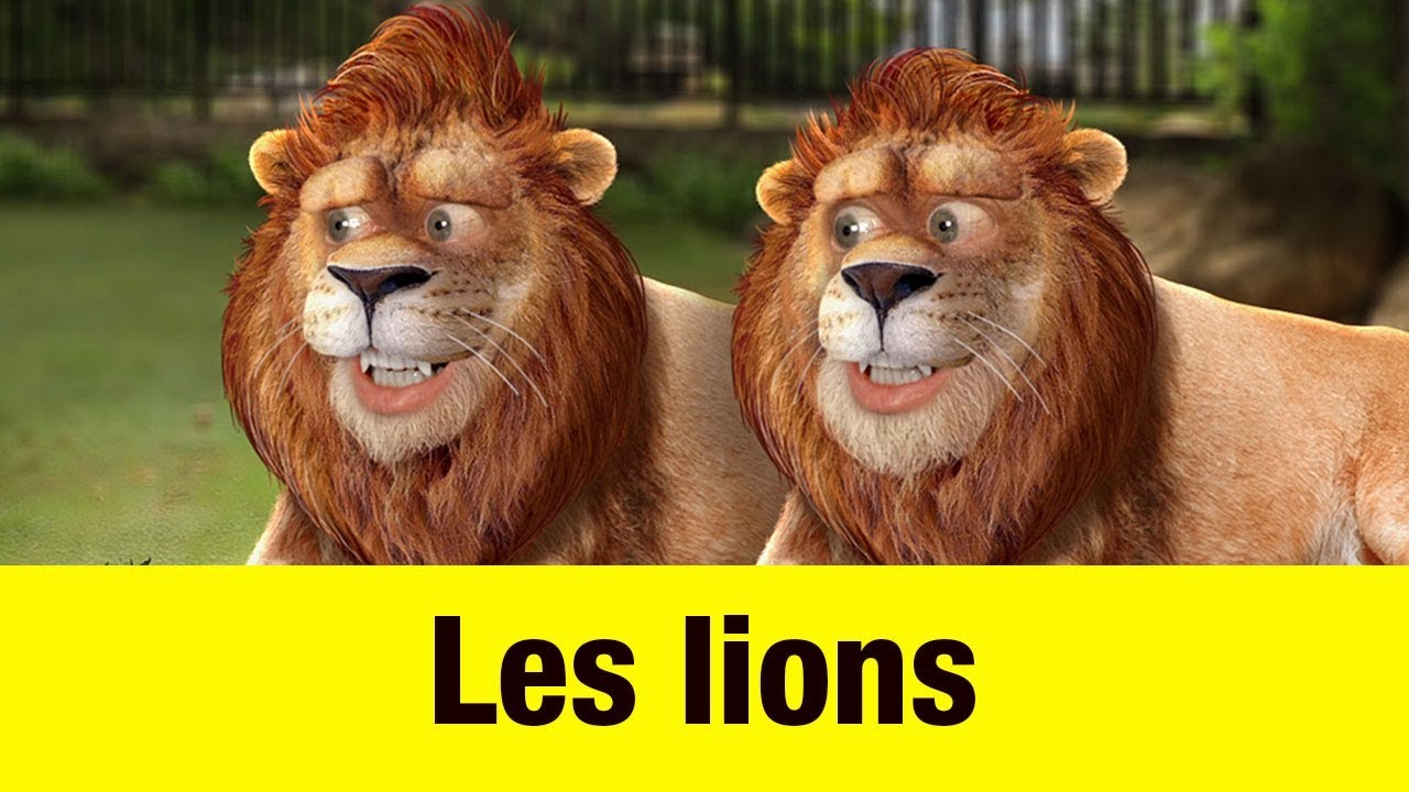 Les lions – Têtes à claques Les lions – Têtes à claques