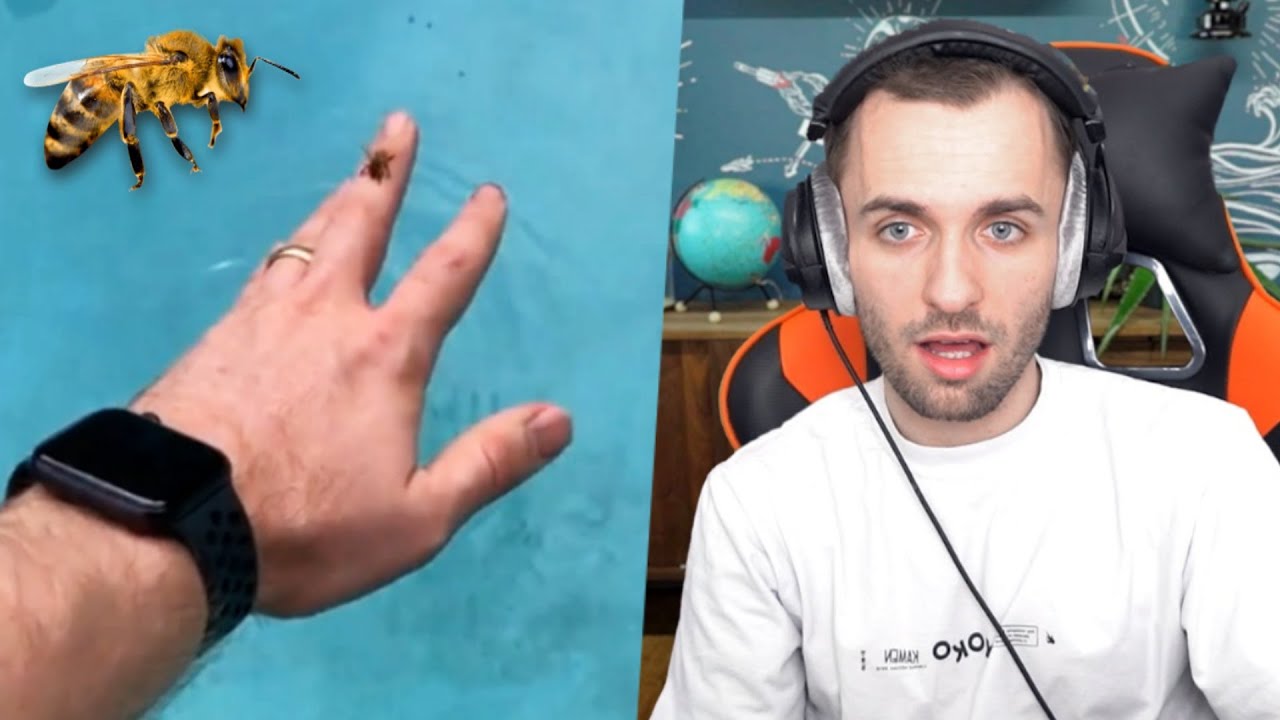je suis incapable de faire ça je suis incapable de faire ça