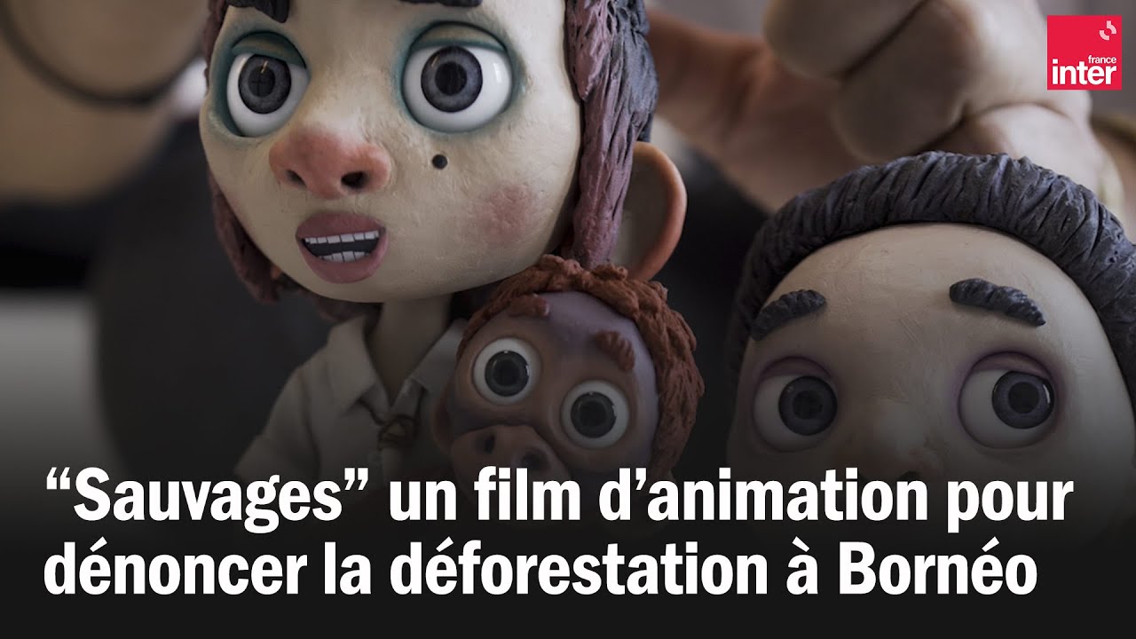 Un film d’animation pour dénoncer la déforestation à Bornéo Un film d’animation pour dénoncer la déforestation à Bornéo