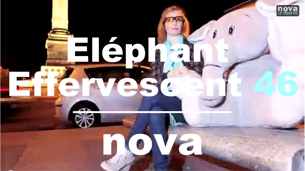 L’Eléphant Effervescent – Episode 46 • Nova L’Eléphant Effervescent – Episode 46 • Nova