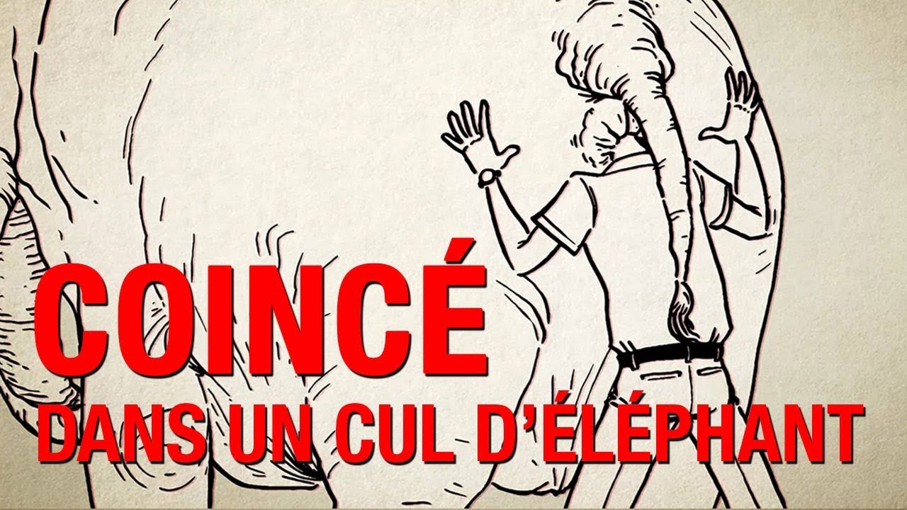 NE PANIQUEZ PAS : Comment survivre quand votre tête est coincée dans le cul d’un éléphant NE PANIQUEZ PAS : Comment survivre quand votre tête est coincée dans le cul d’un éléphant