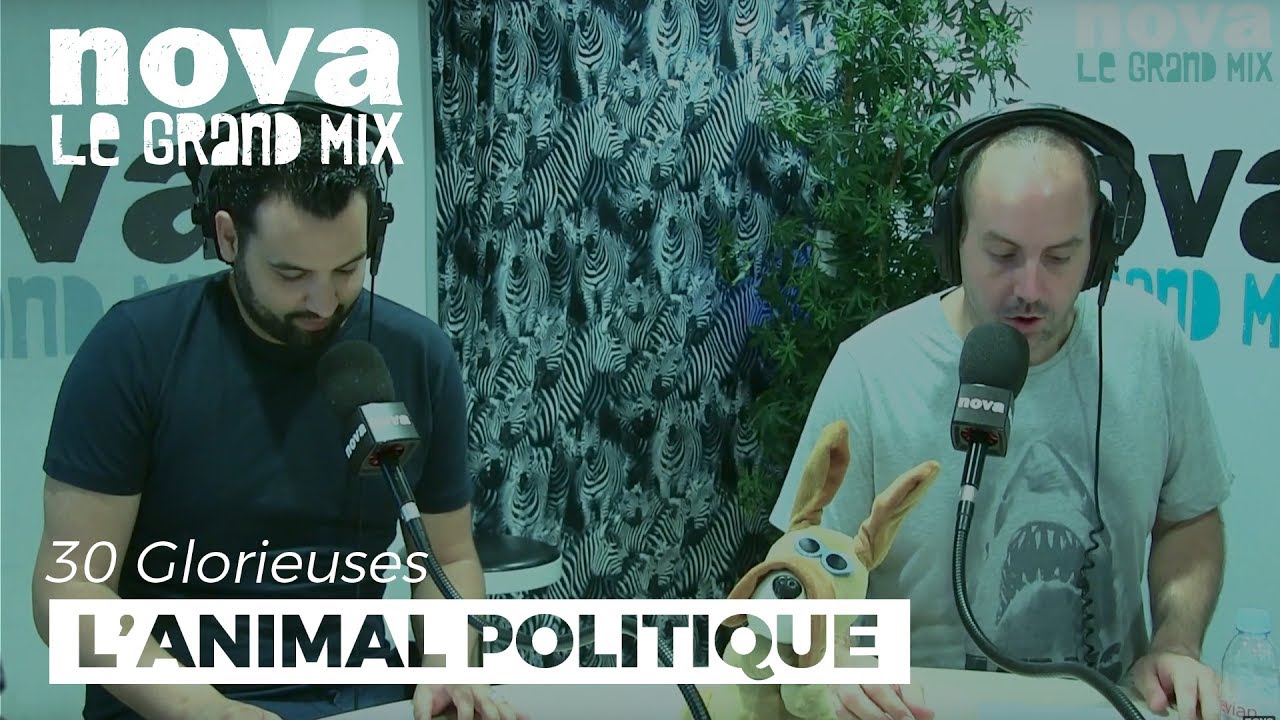 Le Richardus-Ferrandus : l’animal politique de la semaine | Les 30 Glorieuses Le Richardus-Ferrandus : l’animal politique de la semaine | Les 30 Glorieuses