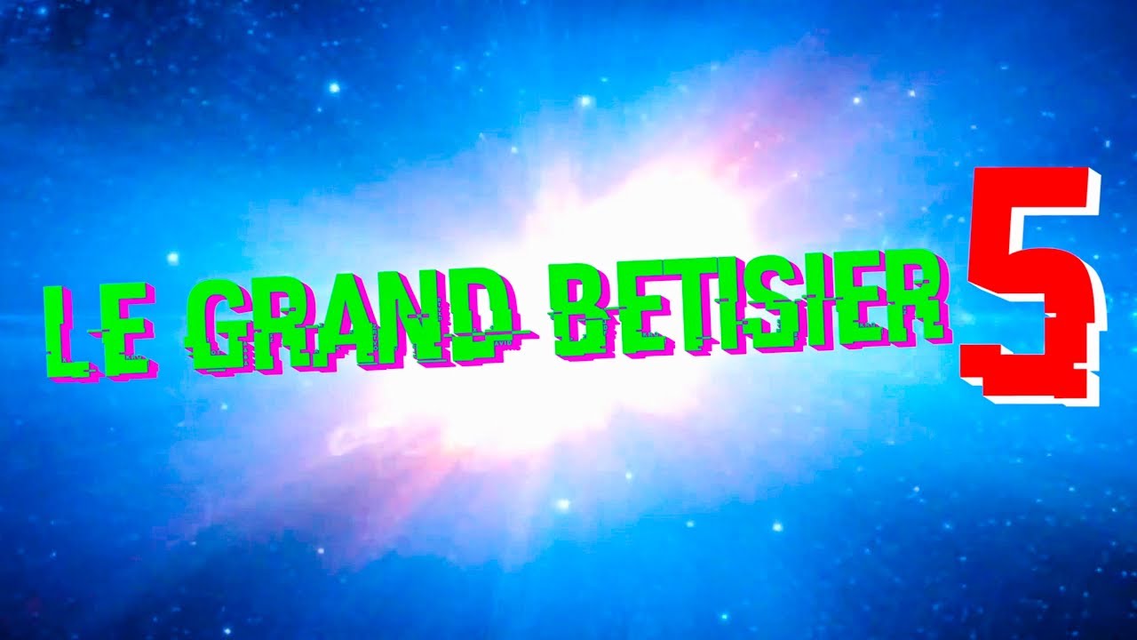 LE GRAND BÊTISIER 5 LE GRAND BÊTISIER 5