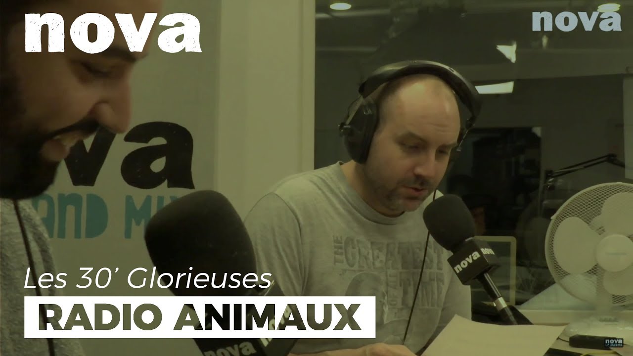 Radio Animaux réagit au tigre abattu à Paris – Nova Radio Animaux réagit au tigre abattu à Paris – Nova