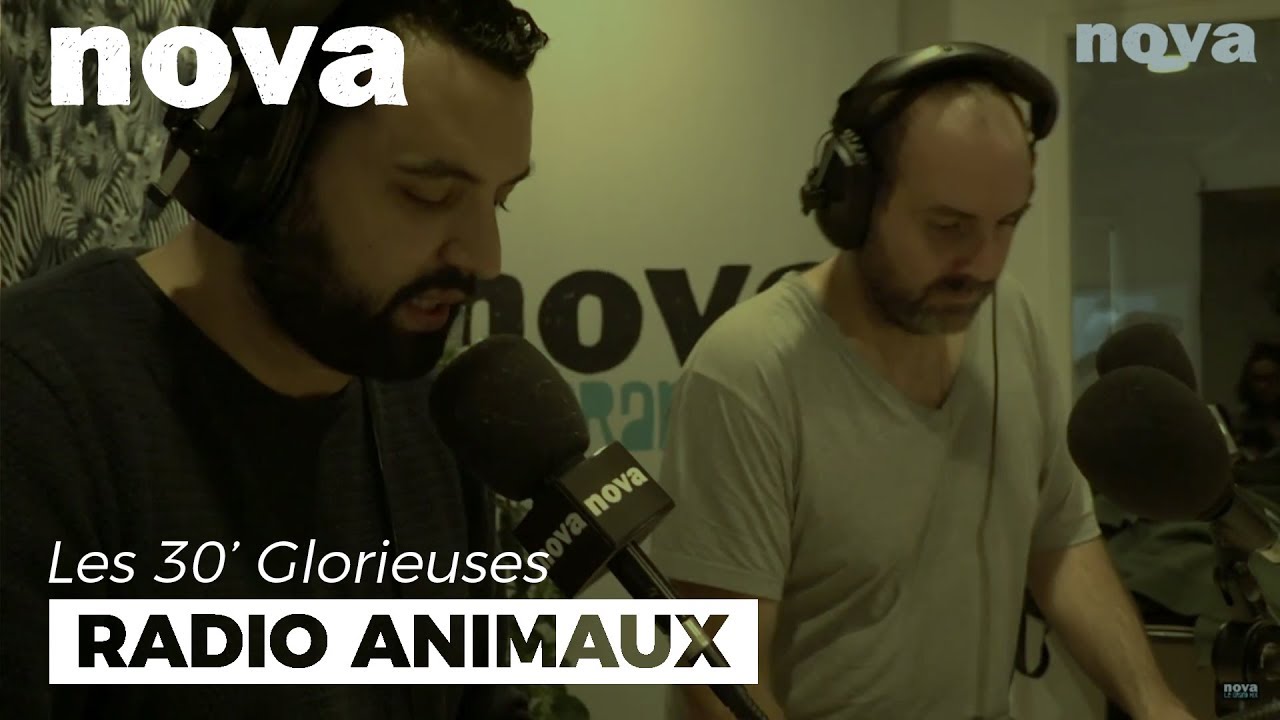 Dans Radio Animaux, une vache témoigne #BalanceTonHomme – Nova Dans Radio Animaux, une vache témoigne #BalanceTonHomme – Nova