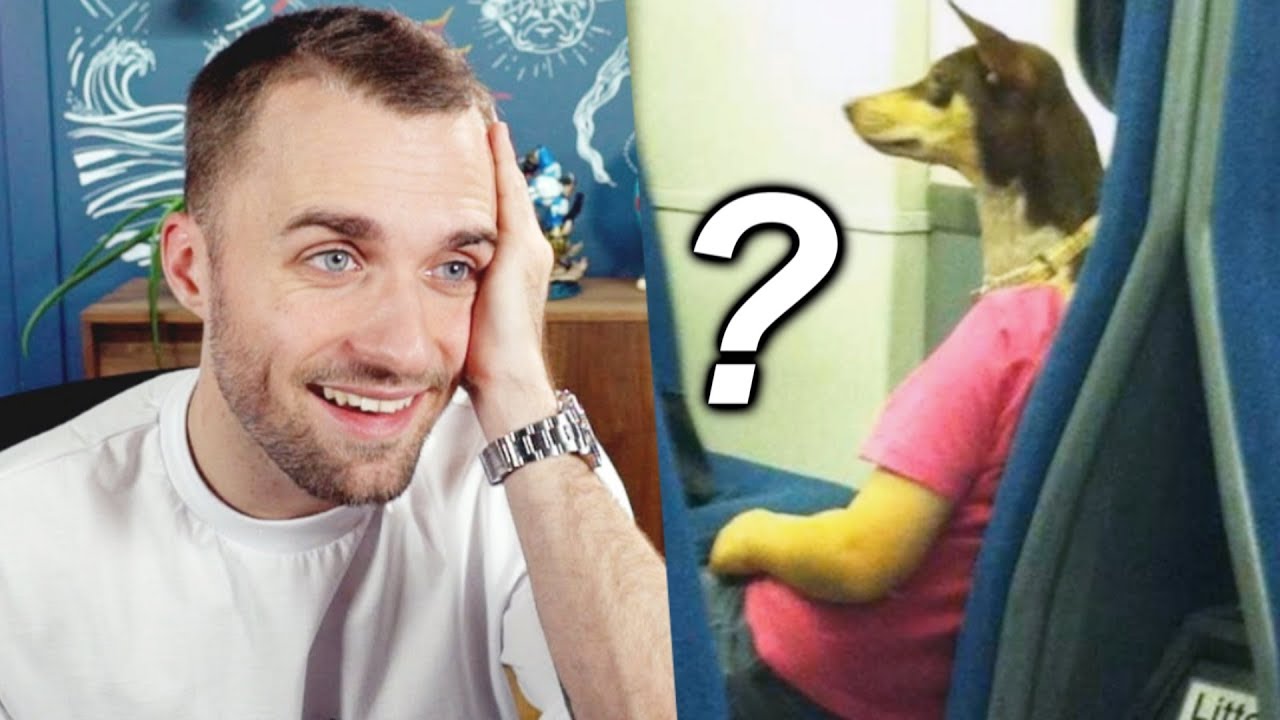 Vous voyez quoi vous ? Vous voyez quoi vous ?