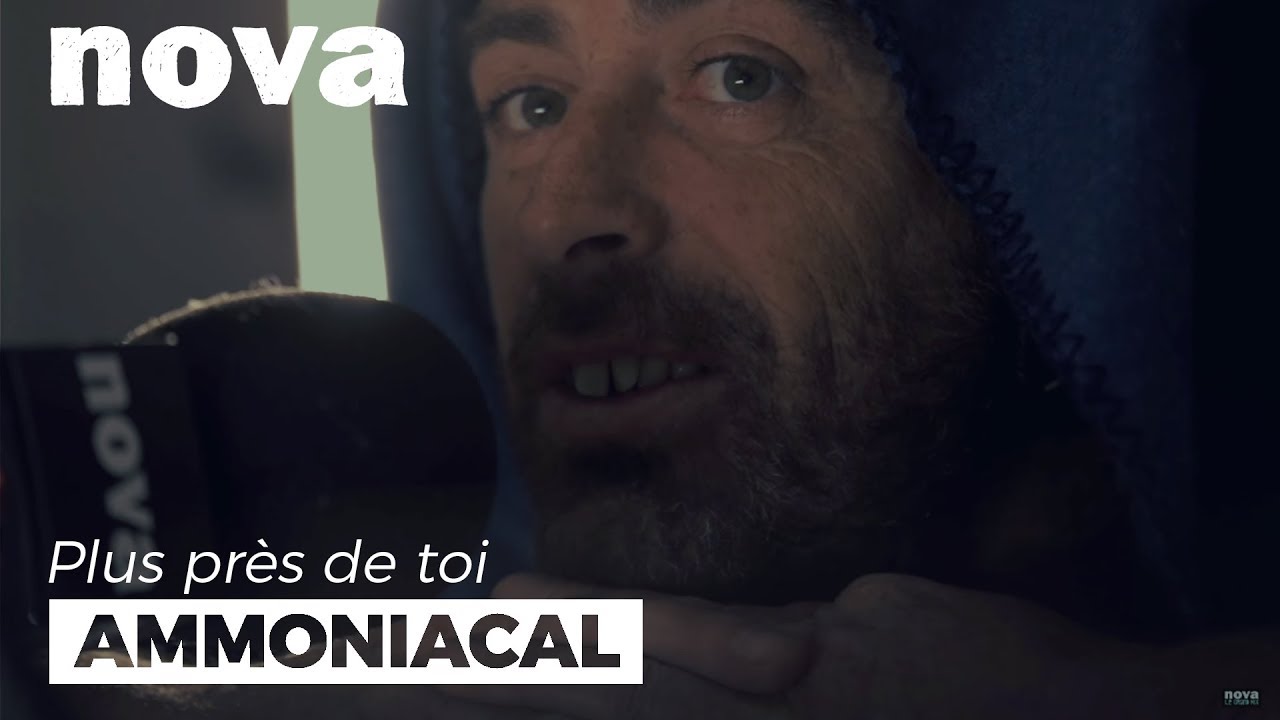 Ammoniacal : « Je sors à nouveau avec ma branche de tilleul » | Plus Près De Toi Ammoniacal : « Je sors à nouveau avec ma branche de tilleul » | Plus Près De Toi