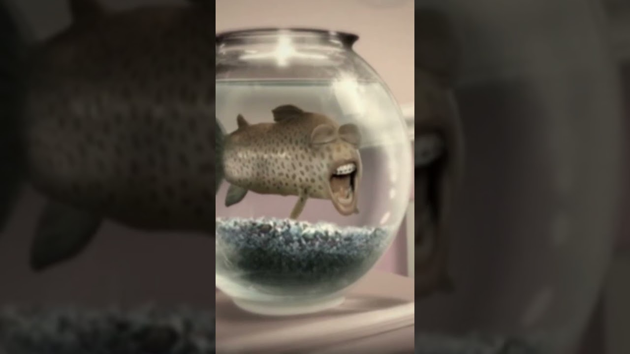 Le poisson d’Avril #shorts Le poisson d’Avril #shorts