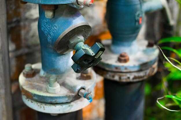 When to replace your water pump When to replace your water pump