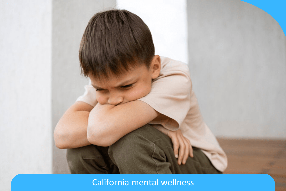 Exploring California’s Comprehensive Approach to Mental Wellness: Integrative Strategies Exploring California’s Comprehensive Approach to Mental Wellness: Integrative Strategies