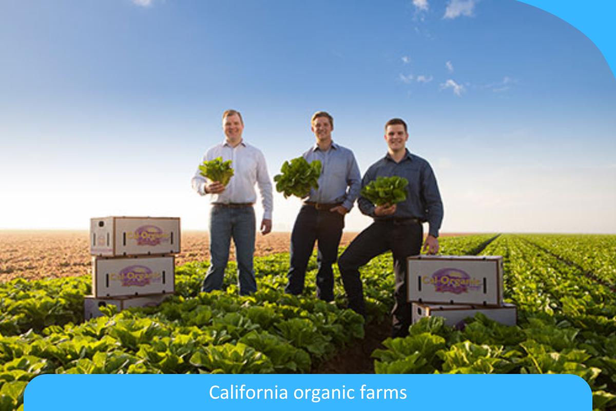 Exploring the Heart of California’s Organic Farms: A Journey Through Sustainable Agriculture Exploring the Heart of California’s Organic Farms: A Journey Through Sustainable Agriculture