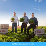Exploring the Heart of California’s Organic Farms: A Journey Through Sustainable Agriculture Exploring the Heart of California’s Organic Farms: A Journey Through Sustainable Agriculture