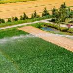 Role Irrigation Infrastructure Companies Role Irrigation Infrastructure Companies