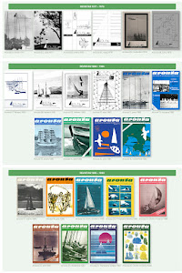 Revistas del CINA Revistas del CINA