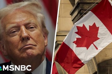 ‘Spectacularly petty’: Trump slaps new tariff on Canada over Reagan TV ad spat ‘Spectacularly petty’: Trump slaps new tariff on Canada over Reagan TV ad spat