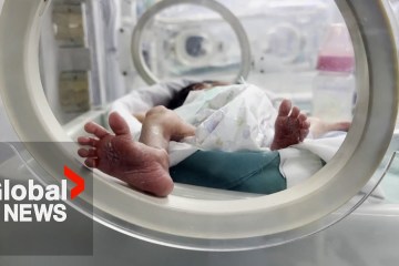 “Population is starving”: Canadian doctor shares realities of working in Gaza amid Israel-Hamas war “Population is starving”: Canadian doctor shares realities of working in Gaza amid Israel-Hamas war