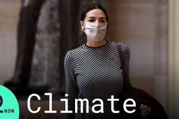 Build Back Better? Little Pandemic Aid is Going Toward Green Initiatives Build Back Better? Little Pandemic Aid is Going Toward Green Initiatives