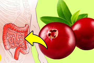 What happens to your Body when you Eat Cranberries Every Day What happens to your Body when you Eat Cranberries Every Day