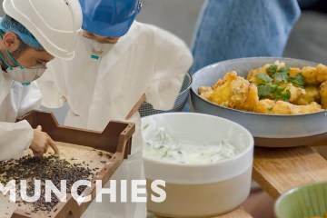 Insects Are The Future of Food Insects Are The Future of Food