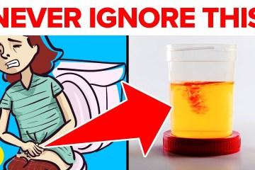 7 Bladder Symptoms you can’t Ignore 7 Bladder Symptoms you can’t Ignore