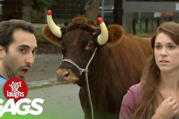Best of Fighting Pranks Vol. 2 Best of Fighting Pranks Vol. 2