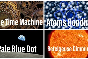 Amazing Discoveries in the year 2020 Amazing Discoveries in the year 2020