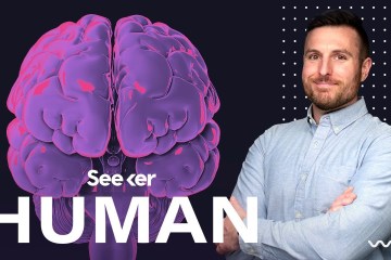 What Exactly Is the Blood Brain Barrier? What Exactly Is the Blood Brain Barrier?