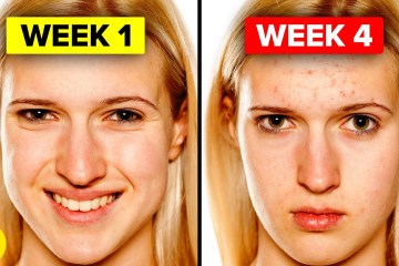 What happens when you Eat Fast Food Every Day What happens when you Eat Fast Food Every Day
