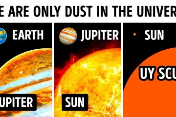 You’ll Feel Tiny Seeing True Size of the Universe You’ll Feel Tiny Seeing True Size of the Universe