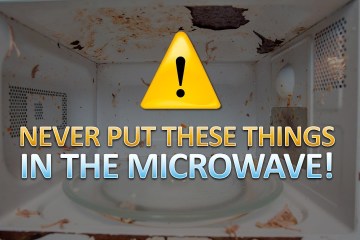 10 Foods and Objects you should never put in the Microwave 10 Foods and Objects you should never put in the Microwave