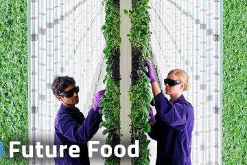 The Future of Food? The Growth of Vertical Farming The Future of Food? The Growth of Vertical Farming