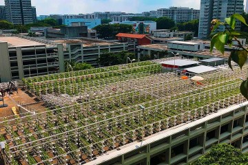 Singapore’s Bold Plan to Build the Farms of the Future Singapore’s Bold Plan to Build the Farms of the Future
