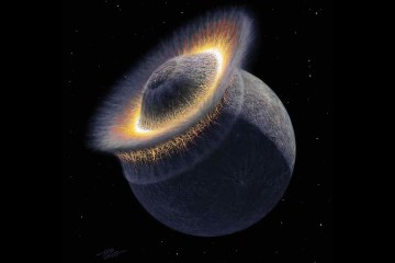 A True Story About Planet Pluto : Passport to Pluto and Beyond A True Story About Planet Pluto : Passport to Pluto and Beyond