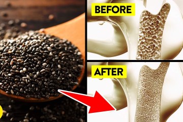 Eat Chia Seeds everyday for a month see what happens to your Body Eat Chia Seeds everyday for a month see what happens to your Body