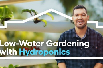 Low-Water Edible Gardening with Hydroponics /// Grow Anywhere Low-Water Edible Gardening with Hydroponics /// Grow Anywhere