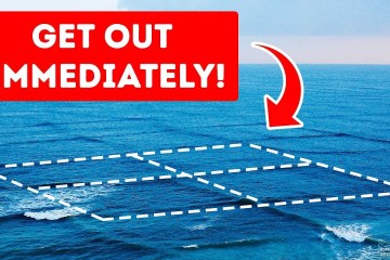 If You See Square Waves, Get Out of the Water! If You See Square Waves, Get Out of the Water!