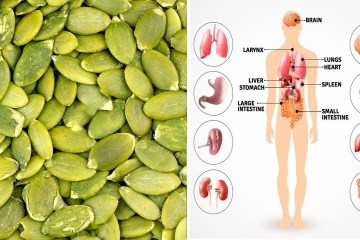 What Happens To Your Body If You Eat Pumpkin Seeds Daily What Happens To Your Body If You Eat Pumpkin Seeds Daily
