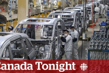 Government push for EV Investment is a bad move, says Expert | Canada Tonight Government push for EV Investment is a bad move, says Expert | Canada Tonight