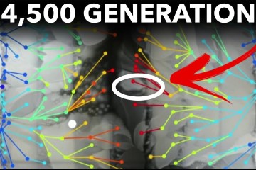 The Longest-Running Evolution Experiment The Longest-Running Evolution Experiment